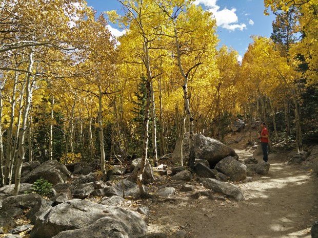 2015-09-29 11.58.09 HDR