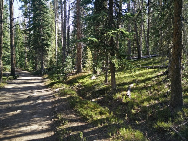 2015-10-02 10.30.40 HDR